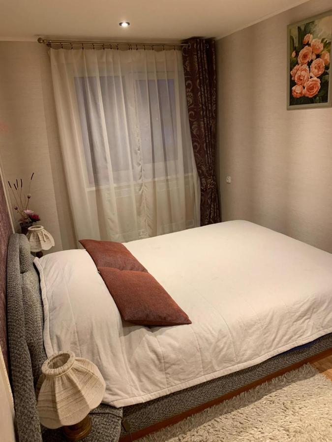 Central Daugavpils Apartment Екстериор снимка